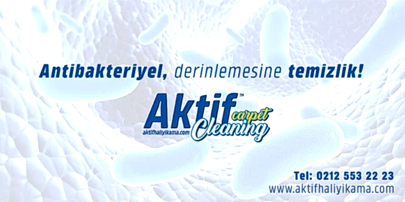 Antibakteriyel Halı Yıkama